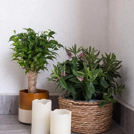 Appartement Lovely With Parking And Balcony Cluj-Napoca