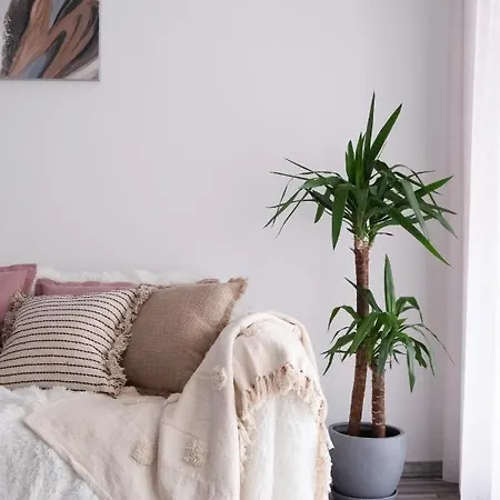 Lovely With Parking And Balcony Appartement Cluj-Napoca
